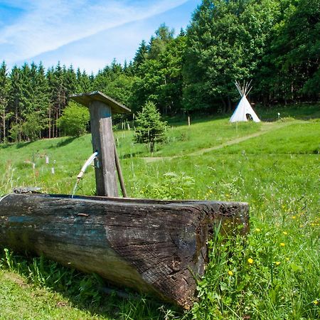 Haus Sohl Am Rothaarsteig Lägenhet Bad Laasphe Exteriör bild