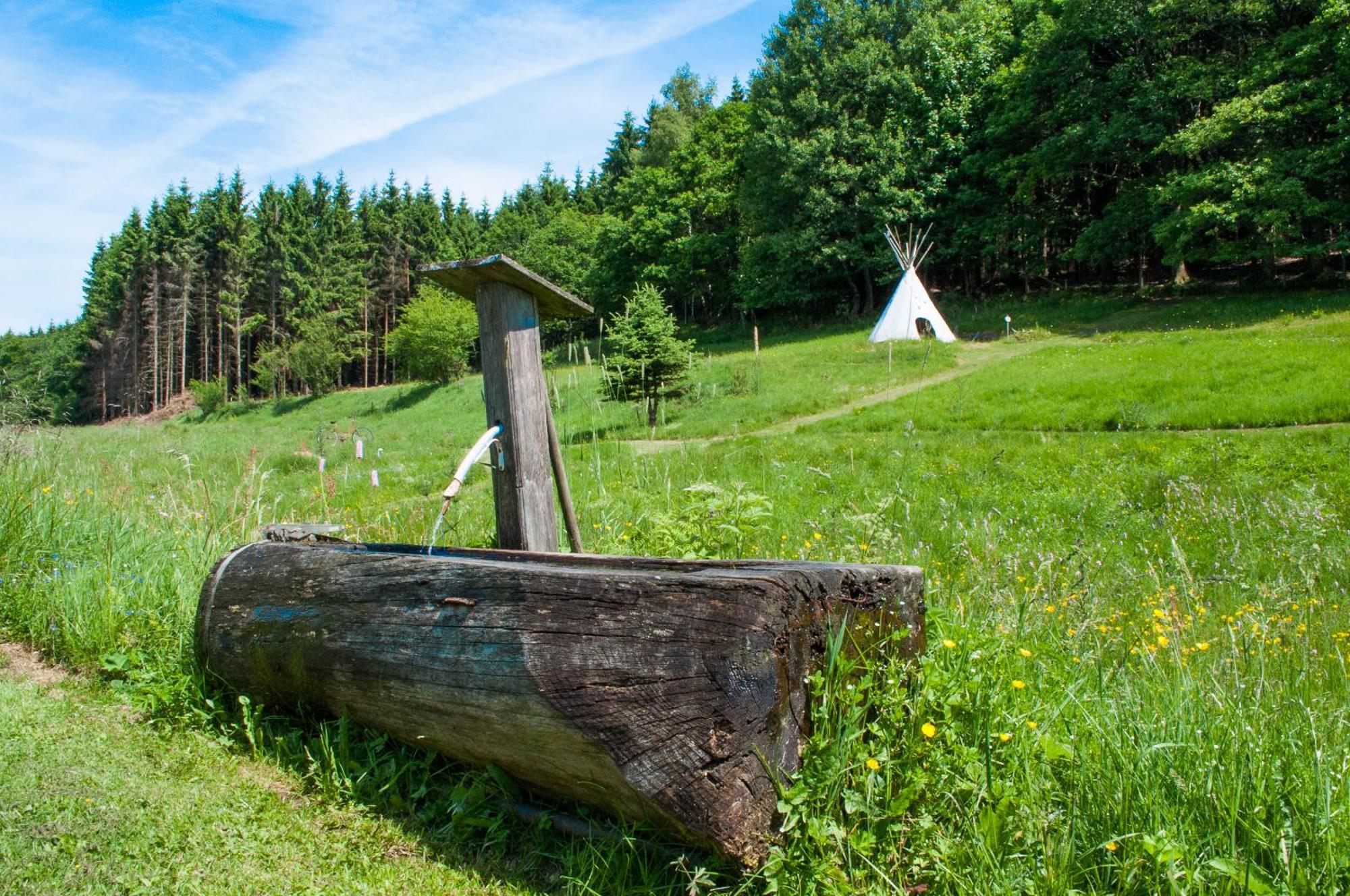Haus Sohl Am Rothaarsteig Lägenhet Bad Laasphe Exteriör bild